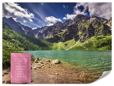 Produktbild von Muralo VLIES FOTOTAPETE SEE Berge Bäume Steine Natur Landschaft 3D Effekt  Br. 180 cm x Hö. 120 cm