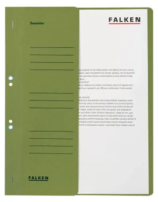 Image de FALKEN 80000490 Classeur à anneaux 50 feuilles vert DIN A4