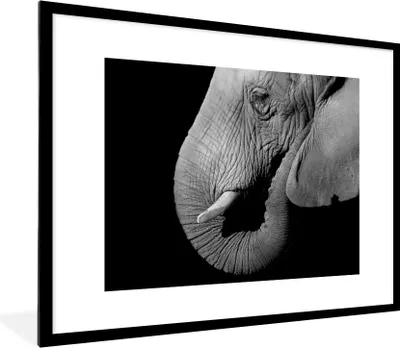 Produktbild von MuchoWow® Gerahmtes Poster Nahaufnahme Porträt eines Elefanten auf einem schwarzen Hintergrund - schwarz und weiß 80x60 cm - Poster mit Schwarzem Bilderrahmen Wandposter Rahmen Foto Bilder - Schlafzimmer-Dekorationen - Fotoposter