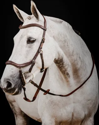 Produktbild von Horseware Micklem II Deluxe Competition Bridle, Größe:Pony, Farbe:Dark Havana