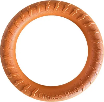 Produktbild von Hundespielzeug, leichtes schwimmendes Kauspielzeug für Haustiere, bissfest, interaktiver Hundetrainingsring für Outdoor-Aktivitäten