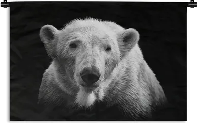 Produktbild von MuchoWow® Wandteppich Wandbehang Porträt Eisbär auf schwarzem Hintergrund in schwarz und weiß 90x60 cm Tapisserie Dekoration Wandtuch - Wandskulpturen - Bildteppich