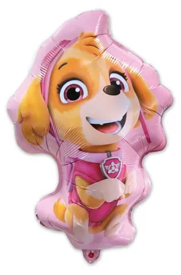 Produktbild von Folienballon Skye, Paw Patrol, 48 x 70 cm