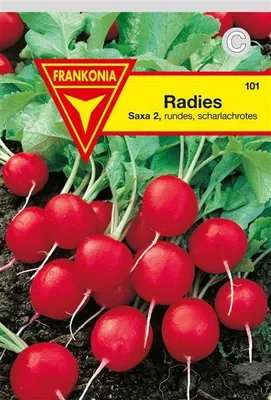 Produktbild von Radies Saxa