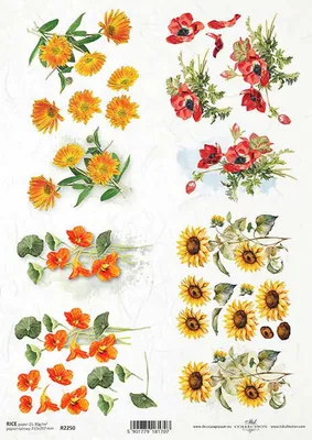 Immagine prodotto di ITD carta di riso decoupage tecnica artigianale tovaglioli di carta R2250 calendula, girasole, papavero, nasturzio