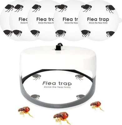 Produktbild von 5 Stück Flohfallen-Aufkleber, runde, klebrige Fliegenfallen, Kuppel-Flohfalle, Nachfüllpackung für Zuhause, Schlafzimmer, Haustierhaus