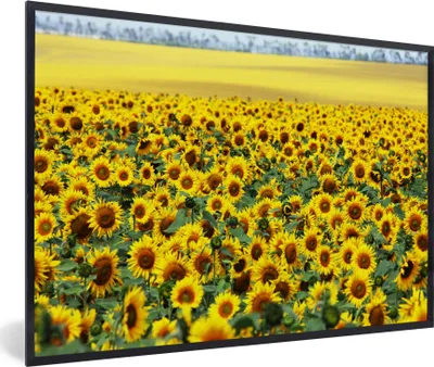 Produktbild von MuchoWow® Gerahmtes Poster Sonnenblume - Blumen - Natur 90x60 cm - Poster mit Schwarzem Bilderrahmen Wandposter Rahmen Foto Bilder - Fotorahmen - Foto-Plakat