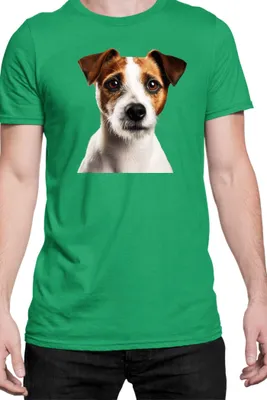 Produktbild von Herren T-Shirt Dogs Breeds Russell Terrier Dog Breed 005, Man S / Grün
