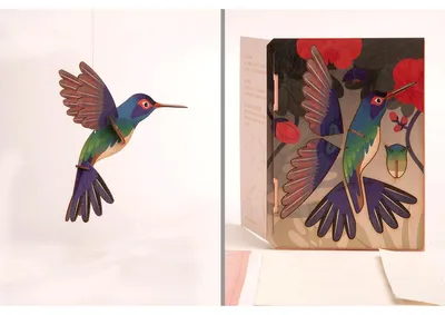 Immagine prodotto di Cartolina in legno 3D, modello "Colibrì".