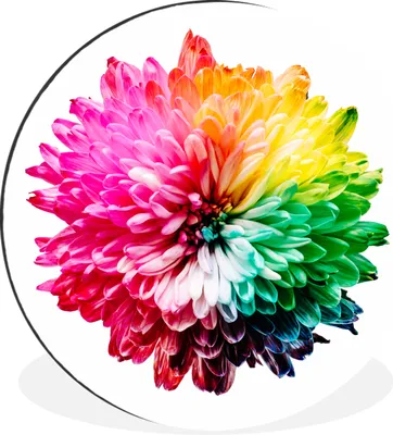 Produktbild von MuchoWow® - Wand Kreis - Wandbild - Schlafzimmer - Aluminium Bild - Kinderzimmer - Wohnzimmer Dekoration - Wandschmuck