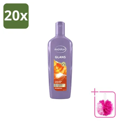 Obrázok produktu pre 20 kusov šampónu Andrélon Glans – 300 ml – balenie s 20 kusmi