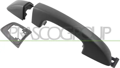 Produktbild von PRASCO VG1018104 Türgriff Hinten Links Hinten Rechts für VW GOLF VI (5K1)