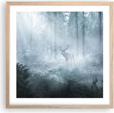 Produktbild von Gerahmtes Poster - Rahmen in heller Eiche - Hirsch Wald Morgendämmerung - 50x50 cm - Wand Bild - Wanddeko - Wandbilder - Kunstposter - Wandposter - Bilderrahmen - Bilder - Kunstdruck - P2NAC50x50-4667