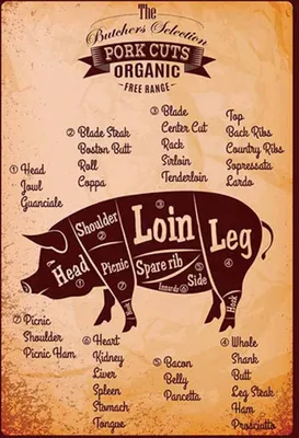 Produktbild von vianmo Holzschild 30x20 cm Pork cuts Organic free Schwein