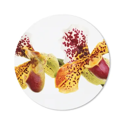 Produktbild von MuchoWow® Mauspad Mousepad Orange Orchidee 30x30 cm - Mousepads - Maus Mat - Pad - Mausunterlage - Tischunterlage - Schreibtischmatten