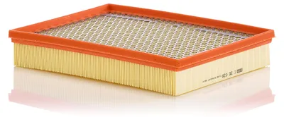 Image de Filtre à air MANN-FILTER C 30 039