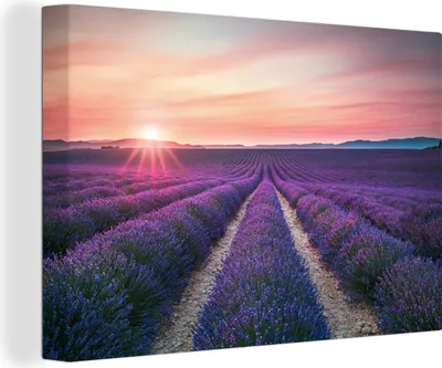 Obrázek produktu pro OneMillionCanvasses® Malba na plátně Nástěnná malba na plátně - Levandule - Fialová - Květiny - 150x100cm