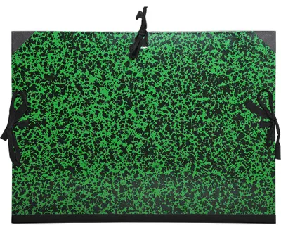 Immagine prodotto di Exacompta Cartella per disegni 5x + nastro in tessuto A2 Annonay, 47x62 cm, verde, 532600E