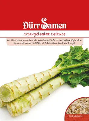 Produktbild von Spargelsalat Celtuce | Spargelsamen von Dürr Samen