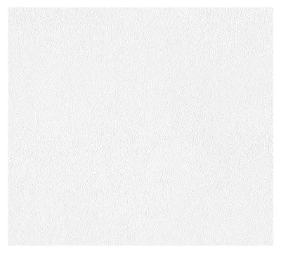 Obrázek produktu pro Netkaná tapeta Architects Paper Pigment Classic, bílá, malovatelná, 10,05 m x 0,53 m, 928818, 9288-18