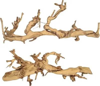 Produktbild von Terrariumdekoration Rebholz hell large 1 Stück