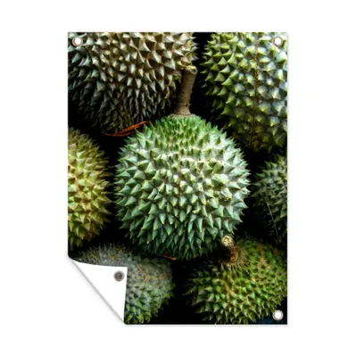Obrázek produktu pro MuchoWow® Zahradní plakáty - Stejnorodost jedinečného plodu durianu - 80x60 cm - Zahradní dekorace