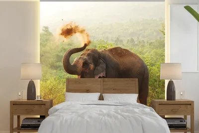 Produktbild von MuchoWow® Fototapete für Wohnzimmer oder Schlafzimmer Wandtapete Vinyl Motivtapete Reinigungselefant - 300x300 cm - Wanddekoration