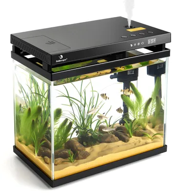 Mini-Aquarium Starterset 8,6L mit LED, Pumpe & Filter