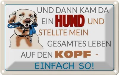 Produktbild von vianmo Blechschild 12x18 cm und dann kam da ein Hund Tier Haustier