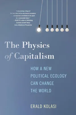 Produktbild von The Physics of Capitalism