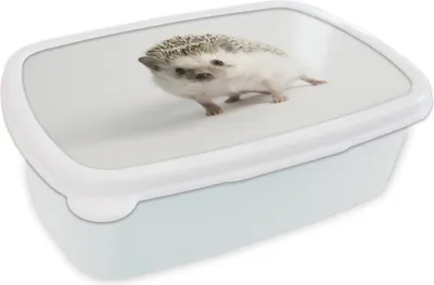 Produktbild von KitchenYeah® Lunchbox Brotzeit Brotdose 17x11 cm Igel - Tier - Weiß Kinder Brotzeitdose - Lunch Box - Kinder - Sandwich-Box - Schulbox - Lunch Boxen