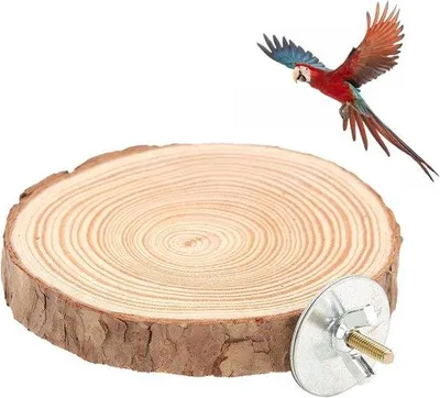Produktbild von Holz-Sitzstange für Kleinvögel - Papagei-Sitzstangen - Spielzeug Vogelbärs Plattform - Parkitenvogelbärs Plattform - 6cm