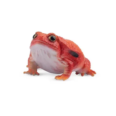 Produktbild von Toymany ML00416 Tomatenfrosch 4,4 cm Reptilienreich