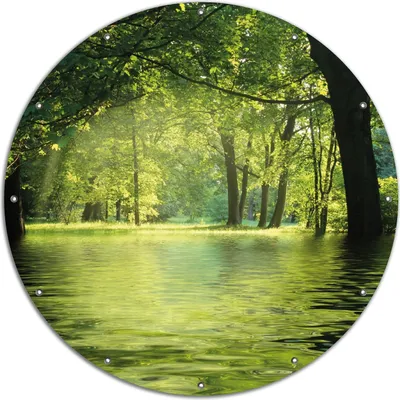 Produktbild von Wallario rundes Outdoor-Poster für Garten oder Balkon, Motiv Idyllischer See im Wald bei Sonnenschein, 120 cm Durchmesser