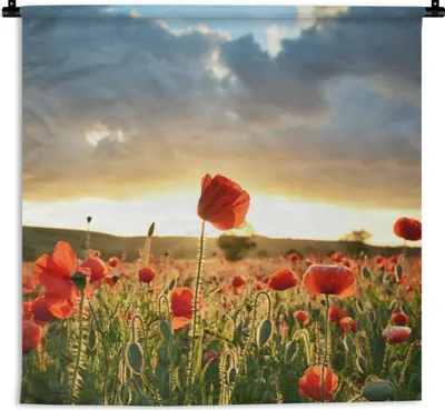 Produktbild von MuchoWow® Wandteppich Wandbehang Bunter Himmel über vielen Mohnblumen 90x90 cm Tapisserie Dekoration Wandtuch - Wandaufhänger