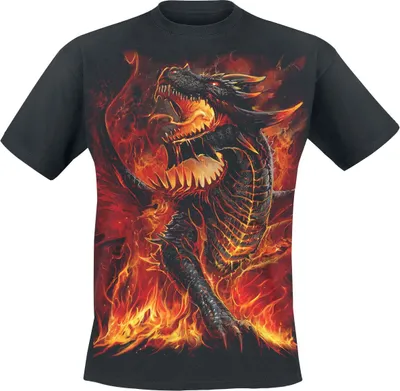 Produktbild von Spiral T-Shirt Herren Draconis schwarz Basics, Gothic, Rockwear 100% Baumwolle XXL