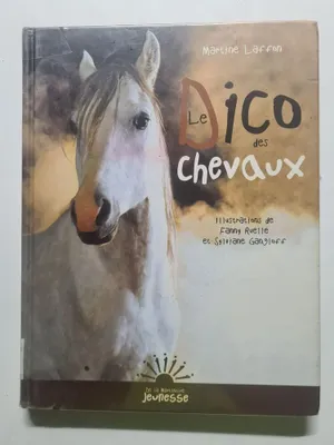 Image de Dico Des Chevaux(le)