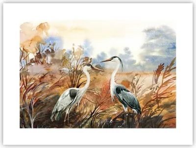 Produktbild von Poster - Poster ohne Rahmen - Kraniche Vögel Herbst - 40x30 cm - Wand Bild - Wanddeko - Wandbilder - Kunstposter - Wandposter - Bilder - Kunstdruck - Wanddekoration - Wandbild - P2XAA40x30-5077