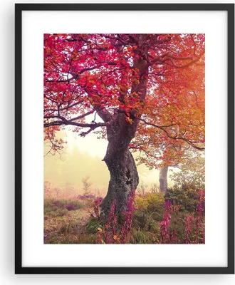 Produktbild von Gerahmtes Poster - Schwarzer Rahmen - Baum Natur Wiese - 40x50 cm - Wand Bild - Wanddeko - Wandbilder - Kunstposter - Wandposter - Bilderrahmen - Bilder - Kunstdruck - Wandbild - P2BPA40x50-3658