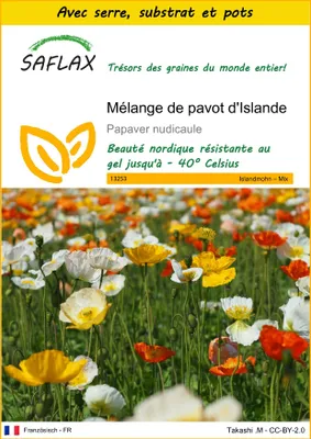 Image de SAFLAX Ensemble de culture - Mélange de pavot d'Islande - 8000 graines - Papaver