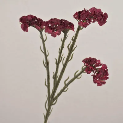 Produktbild von artplants.de Künstliche Blume Strandflieder AYISHA, Trockenoptik, dunkelrot, 65cm - Deko Kunstzweig