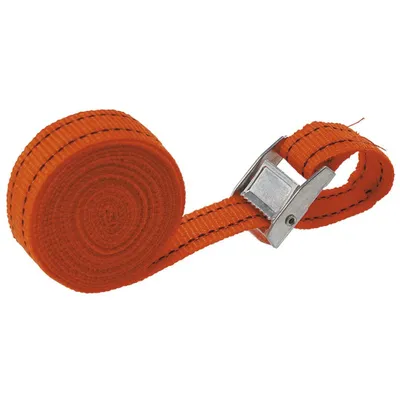 Zdjęcie produktu dla TOPEX Pasy do bagażu 2.5 m x 25 mm, 2 szt.