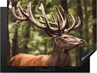 Produktbild von KitchenYeah© Herdabdeckplatte Hirsch - Natur - Geweih - Wald - Tiere , 70x52cm, Küche Deko, Glaskeramikkochfeld Herdabdeckung, Abdeckplatte fùr Kochfeld