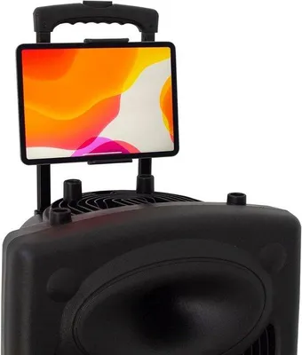 Image de Enceinte Bluetooth portable - Utilisation en extérieur - Écoute de musique à l'extérieur - Microphones inclus - 10 pouces - Noir