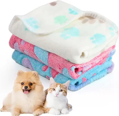 Produktbild von Hundedecke Koraalvelours, 60 x 40 cm, weich, für kleine und mittelgroße Hunde