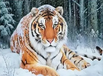 Produktbild von Diamantmosaik "Tiger, der im Schnee liegt", 30x40 cm, kreative Diamanten