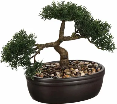 Image de Plante décorative artificielle BONSAI, 23 cm