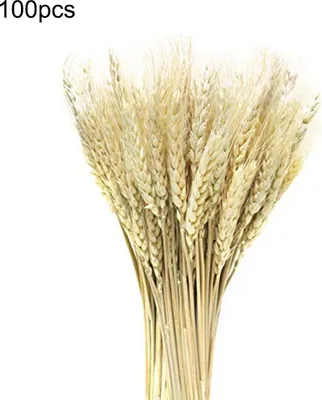 Image de 100PCS Fleurs de blé séchées artificielles Gerbes de blé séchées réalistes pour Noël Soirée Mariage