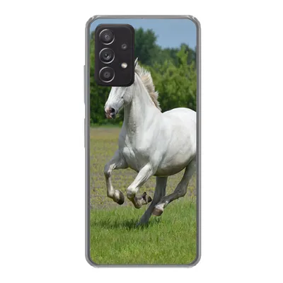 Produktbild von MuchoWow® Handyhülle Schutzhülle Hülle für Samsung galaxy a73 Pferde - Natur - Weiß Silikon Softcase Handy Hülle - Handyhülle