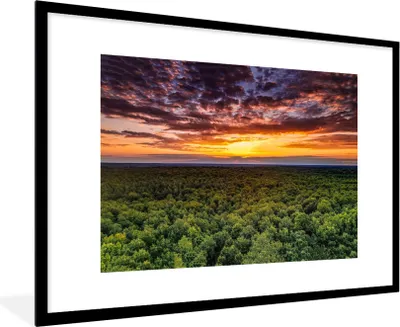 Produktbild von MuchoWow® Gerahmtes Poster Wald - Nacht - Himmel - Horizont - Bäume 90x60 cm - Poster mit Schwarzem Bilderrahmen Wandposter Rahmen Foto Bilder - Wanddekoration - Fotos